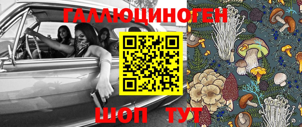 Псилоцибиновые грибы MAGIC MUSHROOMS Майкоп